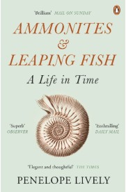 Ammonites & Leaping Fish